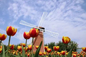 Taipei + Taichung — Where Modernity Meets Tradition