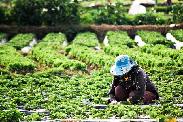 4D3N COMBO ILOCOS + BAGUIO