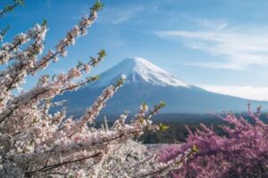 Sakura & Snow Vibes: Tokyo, Mt. Fuji & Yokohama Discovery 5D4N